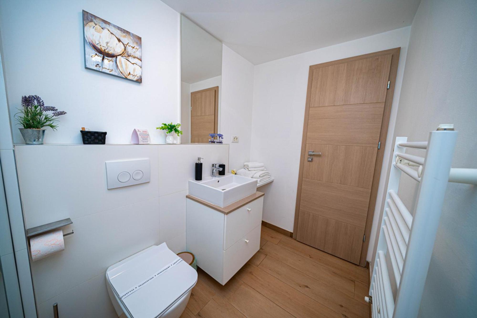 Friends Residence Apartments Timisoara Luaran gambar